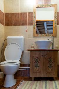 uma casa de banho com um WC, um lavatório e um espelho. em Viscri 195 em Viscri