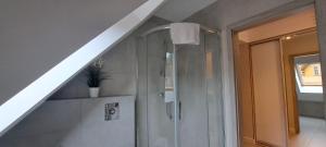 uma casa de banho com um chuveiro e uma escada em Apartament Triventi Karpacz em Karpacz