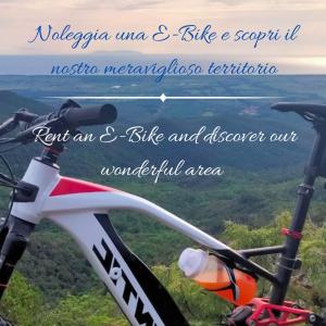 zdjęcie roweru górskiego ze słowami motywacyjnymi i gryźć skuter w obiekcie Podere San Filippo B&B-Apartment-Pet Friendly-Rent Bike and Bike Friendly w mieście Bibbona