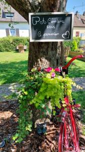 a red bike parked next to a tree with a sign at Gite & Spa Au pommier fleuri et son "Appart" indépendant in Drusenheim