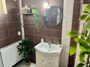 un baño con lavabo y espejo en FLH - Transylvania home, en Sibiu