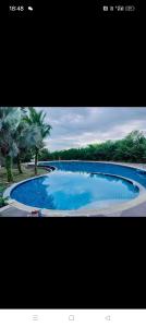 a picture of a large blue swimming pool at Idea Homestay 2 in Ipoh