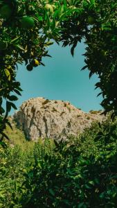 a mountain in the middle of a tree at Sheriff, Olympos in Kumluca