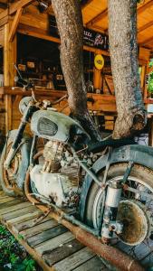 an old motorcycle parked next to a tree at Sheriff, Olympos in Kumluca
