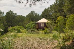 a yurt in the middle of a field with trees at La Muntanera - Eco Yurt - Pool, Nature retreat in Figuerola