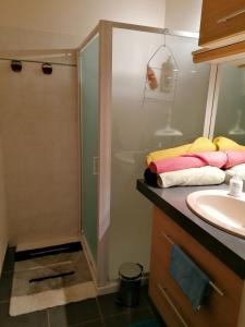 La salle de bains est pourvue d'une douche et d'un lavabo. dans l'établissement Appartement au calme près du lac d'Annecy, à Saint-Jorioz