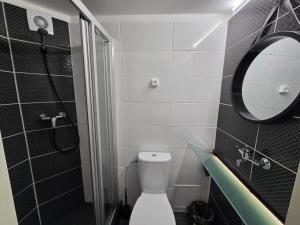 a bathroom with a toilet and a mirror at Loft Apartment in Klaipėda