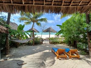 a resort with two chairs and a hammock on the beach at Namayani apartment in Pwani Mchangani