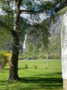 Billede fra billedgalleriet på Hagusane Feriehus i Lærdalsøyri