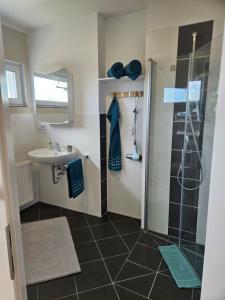 a bathroom with a shower and a sink at Fewo Schwäbische Eisenbahn in Meckenbeuren +13 photos
