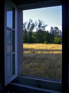 una ventana abierta con vistas a un campo de hierba en La Casa Nova, en Sansepolcro