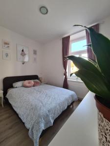 a bedroom with a bed with a potted plant and a window at Oldie goldie in Maribor