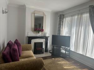 a living room with a fireplace and a television at St Bridget's Apartments in Galway