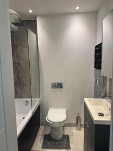 a bathroom with a toilet and a shower and a sink at Paradise - Away - From - Home in Bracknell