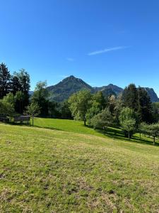 een veld met bomen en bergen op de achtergrond bij Kraft tanken in grüner Oase mit großem Wohnraum und riesigem Garten in Dornbirn