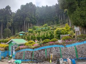 a garden with a bridge and flowers on a hill at Mukhia's Homestay - Takdah in Darjeeling