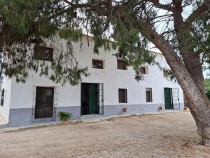 a white building with green doors and a tree at El Cabezo de la Torre in Cieza