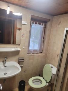 ein kleines Badezimmer mit Toilette und Waschbecken in der Unterkunft Chalet familial authentique et spacieux 2 chambres 4 à 6 personnes avec parking proche des remontées in La Chapelle-dʼAbondance + 15 Fotos