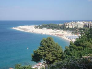 a view of a beach with trees and the ocean at Il Nocchiero City Hotel in Soverato Marina