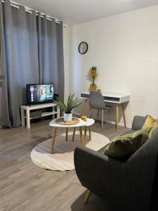 TV a/nebo společenská místnost v ubytování Le Bouchon - Appartement Cosy - Wifi