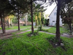 Сад в Romantic Lakeside Retreat - Nature Sport near Bp