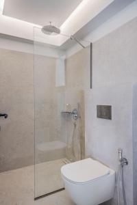 a bathroom with a toilet and a glass shower at Maistrali Sea View Apartments in Stalida