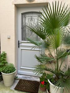 une porte blanche avec des plantes devant elle dans l'établissement Appartement haut de gamme Centre ville, à Chalon-sur-Saône