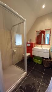 a bathroom with a shower and a toilet and a sink at Chaumière de charme en Brière in Saint-Lyphard +22 photos