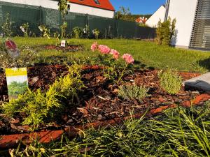 Сад в Apartmány Mikulovské zahrady