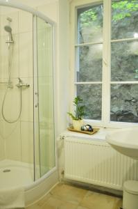a bathroom with a shower and a sink and a window at Art Hotel & Hostel in Passau