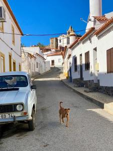 a dog standing in the street next to a car at Os 5 Sentidos in Mourão