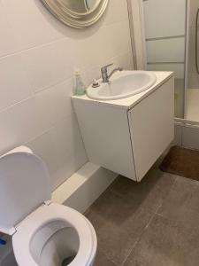 a bathroom with a white toilet and a sink at Ciel de Paris in Paris