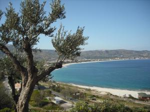 a view of a beach with a tree at Il Nocchiero City Hotel in Soverato Marina