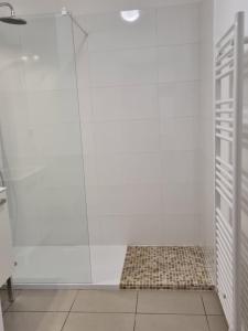 eine Dusche mit Glastür im Bad in der Unterkunft MAGNIFIQUE APPARTEMENT LES PIEDS DANS L'EAU PROPRIANO in Propriano