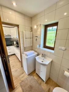 ワプシェ・ニジネにあるLeśny Zakątekの洗面台、トイレ、窓のあるバスルーム