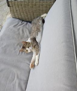 Φωτογραφία από το άλμπουμ του Bujtina Tusha στα Τίρανα