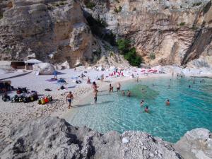 Táj Show holiday homes közelében