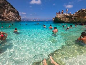 Táj Show holiday homes közelében