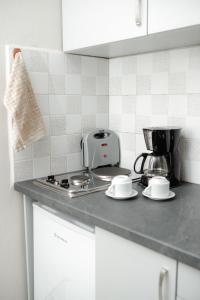 a kitchen counter with a toaster and a coffee maker at Anna Katerina Apartments in Plataniás