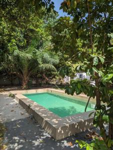a swimming pool in the middle of a yard at Arijaana Guesthouse in Gunjur