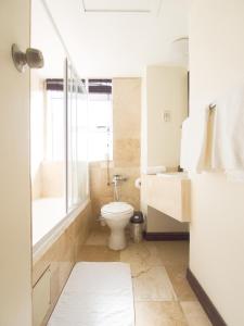 a white toilet sitting next to a bath tub at Albany Hotel in Durban