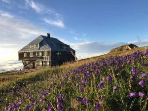 a house on top of a hill with purple flowers at Charmante Ferienwohnung in Vordernberg - Alpenidylle pur in Vordernberg