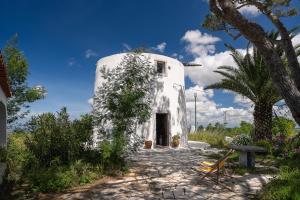 a white house with a tree and a stone pathway at NEW! Windmill in the midst of nature in Mafra