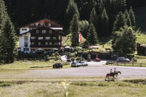 Zvířata v hotelu nebo okolí + 37 fotografií