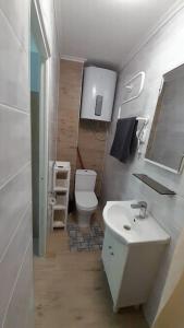 a small bathroom with a toilet and a sink at Apartment Vecliepaja in Liepāja +3 photos