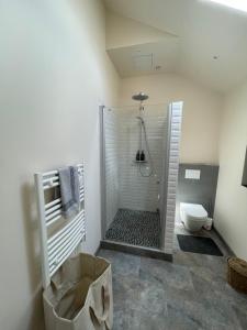 a bathroom with a shower and a toilet at Apartment 5 confort&modern in Arad +23 photos