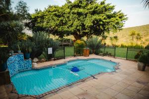 a swimming pool in a yard with a tree at Addo Alkham Lodge in Sunland