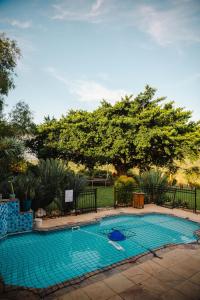 a small swimming pool in a yard with a tree at Addo Alkham Lodge in Sunland