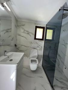 uma casa de banho com um WC, um lavatório e um chuveiro em Kompleksi Zorgji em Theth