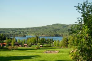un champ vert avec un lac en arrière-plan dans l'établissement Gopshusgården - Rum & Stugor, à Mora